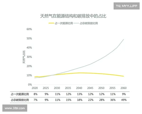 以期精析为核心探索深度,剖析问题本质与解决路径的有效结合 以期精析为核心探索深度,剖析问题本质与解决路径的有效结合